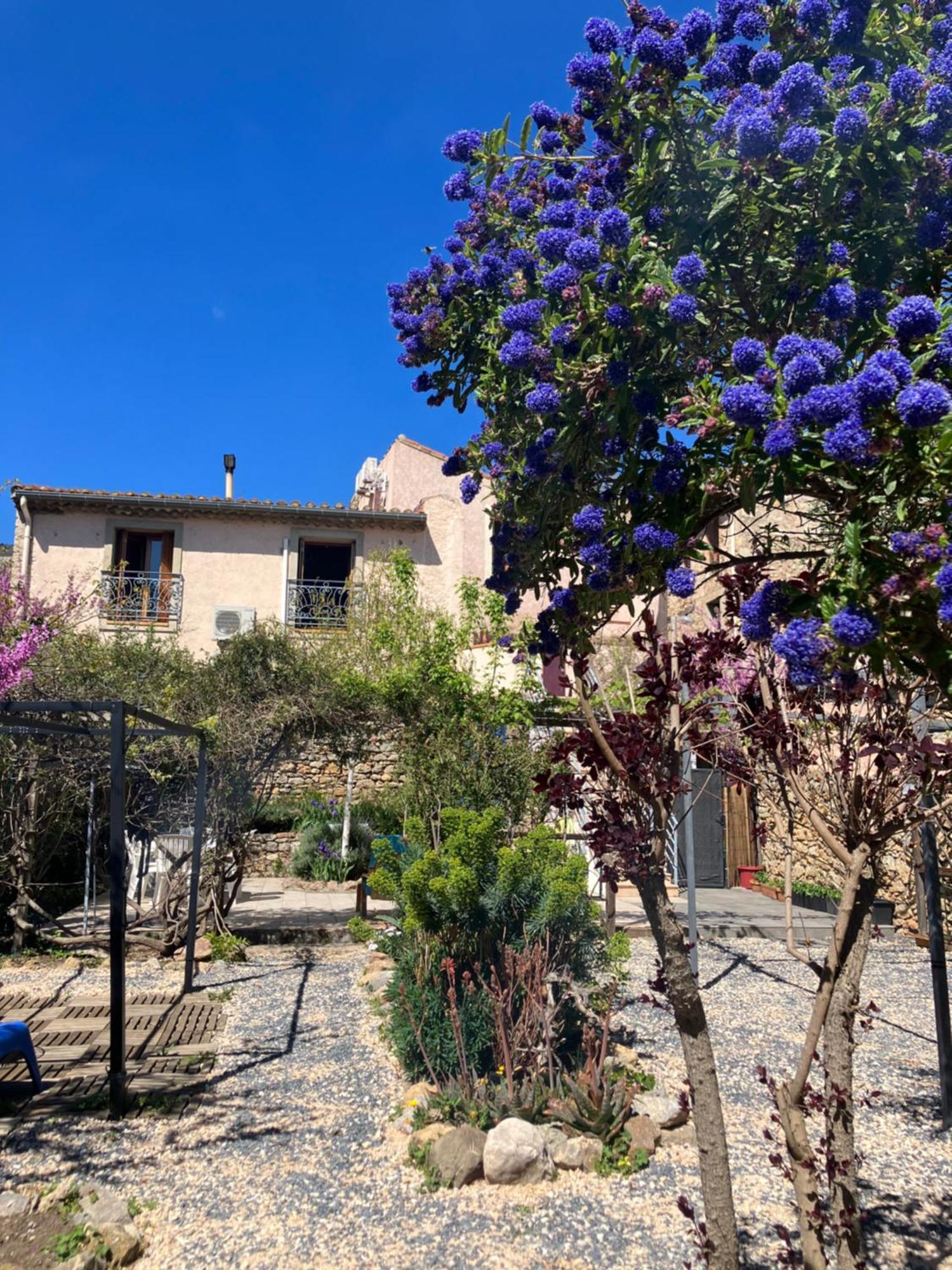 Tuchan Chambres D'Hotes : Les Maisons De Gaia מראה חיצוני תמונה